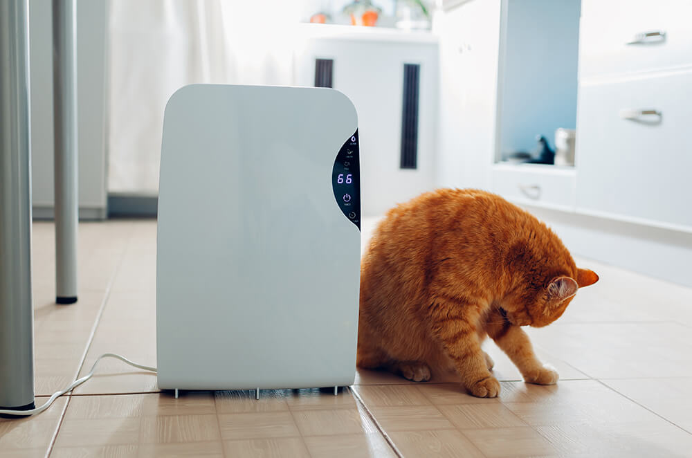 Ultimate New Guide to Make Your Portfolio an Awesome Work