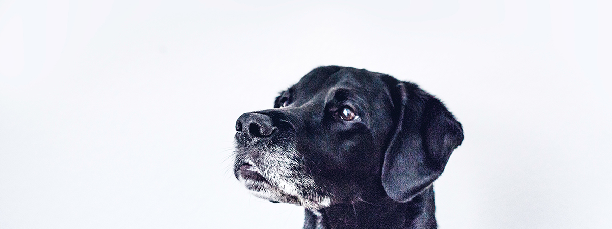 Together had said given day spirit